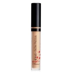 Geisha Lift Concealer